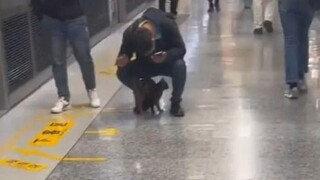 Anak kucing yang menunggu untuk ditangkap di kereta bawah tanah