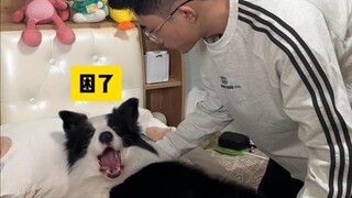 养狗人的冬天是如何睡觉的