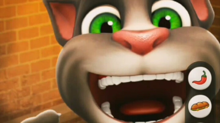 Talking Tom Cat