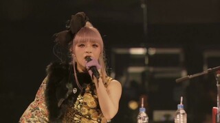 [Cõi Tịnh Độ Cực Lạc] GARNiDELiA, Fusion Version của Tịnh Độ Cực Lạc, Bê Tông Cực Lạc