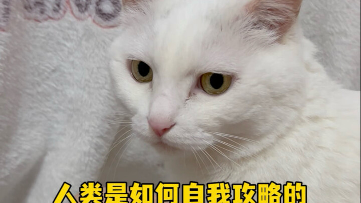 How Do Humans Conquer Themselves?