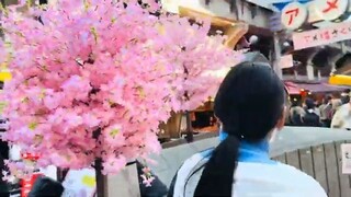Cherry Blossom  new vlog video #chiba #tokyo #uenopark #akihabara