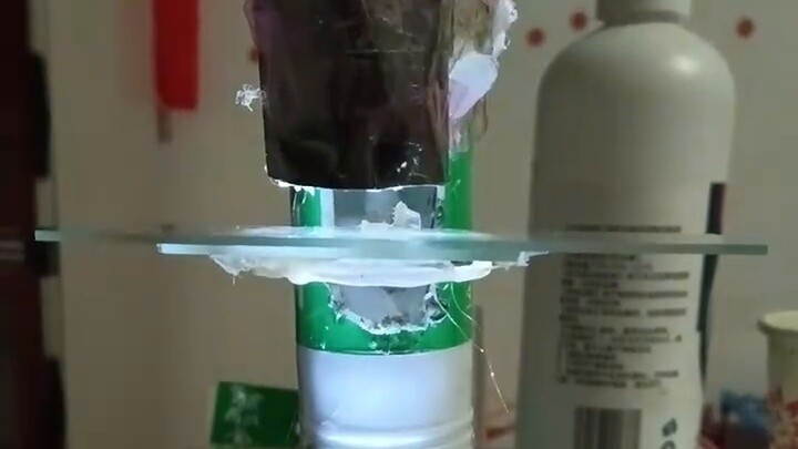 Leeuwenhoek: I woke up from a sleep and fell off the list