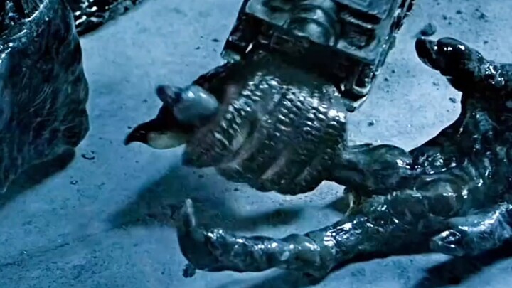 Alien vs. Predator