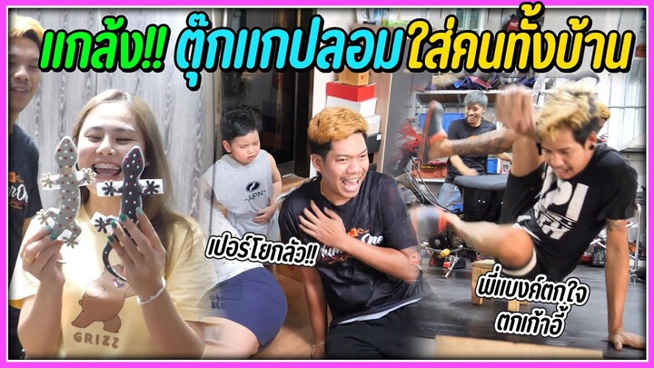 แกล้งคนทั้งบ้าน!!.. เอาตุ๊กแกปลอมติดหลังให้เปอร์โยดู พี่แบงค์ตกใจจนตกเก้าอี้