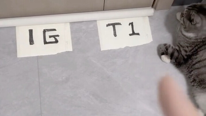 Bisakah Hao Mao memprediksi jalannya pertandingan antara IG dan T1 🤓