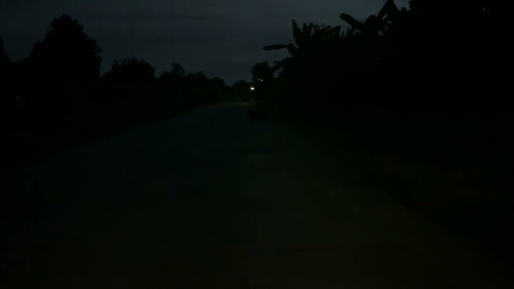 เสียง​หมา​เห่า​ตอนเช้า​มืด​ หมาตัวใหญ่หมาตัวเล็ก​เห่า