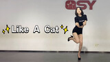 [Bạn cùng lớp Momo] Hãy đến và nhận lấy chú mèo con của bạn ~ Mèo nhảy bước và lặng lẽ Giống như phi