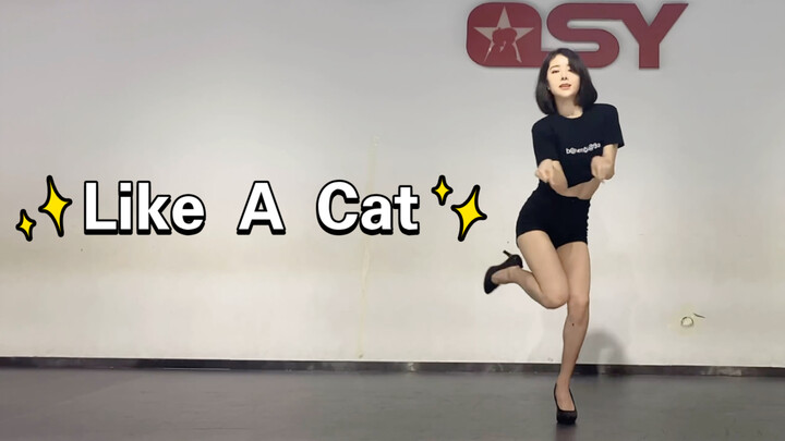 【沫沫同学】快来认领你的小猫咪吧～翻跳 猫步轻悄Like A Cat 练习室版