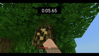 minecraft speedrun chest