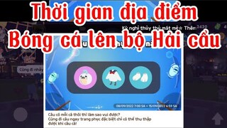 Play Together hướng dẫn câu hộp Hải cẩu sử tích 400 củ