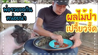 เป็นผลไม้ที่เปรี้ยวและอร่อยที่สุด(ผลไม้เปรี้ยวจาก ดอยอ่างขาง)🤤🤤🤤