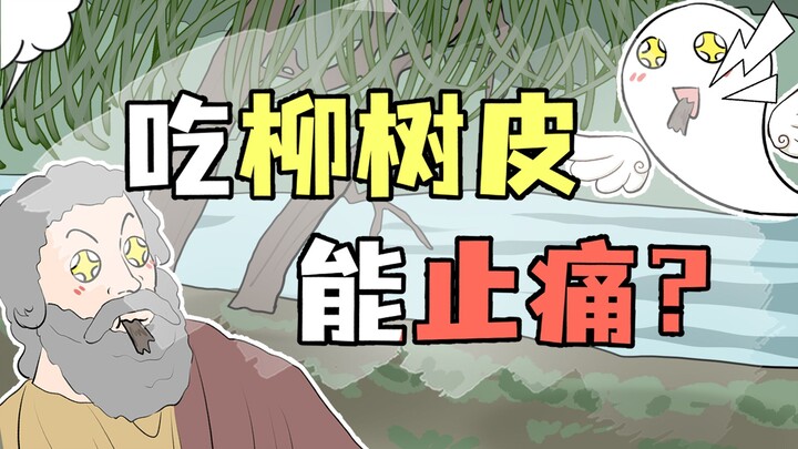 止疼药的祖宗竟然是柳树皮？