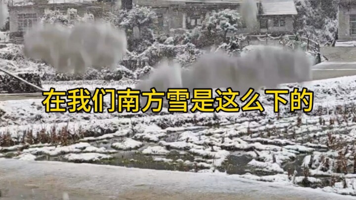 Tôi thật sự không quen với Cáp Nhĩ Tân.