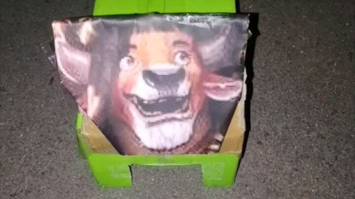 Chú cún cưng ăn vụng cành cây bên đường