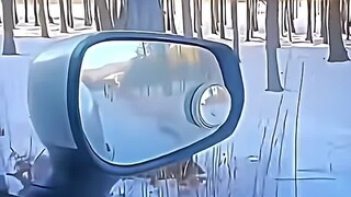 【จัน34695】วิดีโอล่าสุดมาแล้ว รีบเข้ามาดูกันเลย!