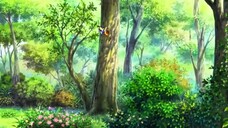 Mitsubachi Hacchi Honey Bee Hutch | Animasi hacchi sebatang kara