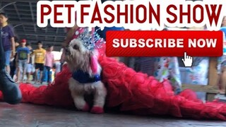 Pet Fashion Show | Super Marcos Vlogs