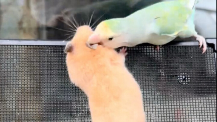 หนู: 666, ยังจ้างผู้คุมมาอีกเลย