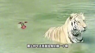 黑鸭：兄弟们，没白来吧