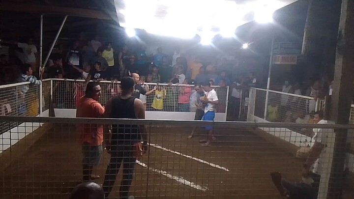 DINA PINA PURMA MANOK NG BIG TIME FARM