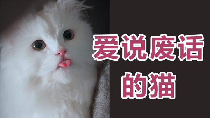 “Some love is hidden in all the small talk.”