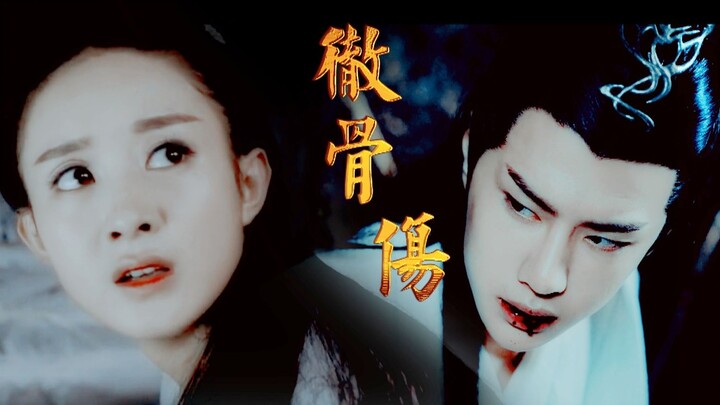 【Wang Yibo & Zhao Liying】A Cool, Warmhearted Master X a Sweet, Adorable Apprentice || A Heart-Wrench