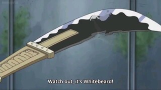 One piece White beard ( Râu Trắng ) [ AMV ] Legends never die #animehay