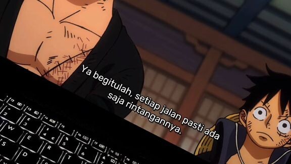 Kau tersesat Zoro😅