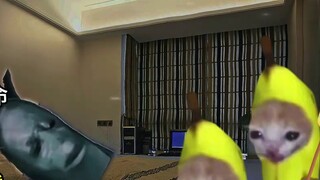 There's a thief in the house!