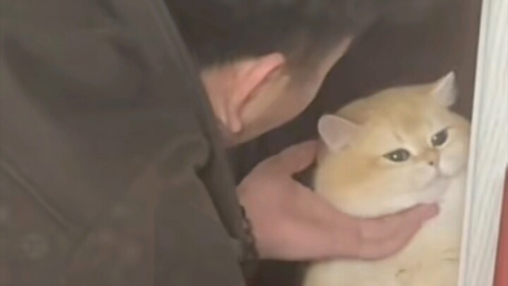 Kucing: "Ini sama saja seperti memaksa perempuan baik-baik menjadi pelacur!!!"