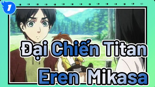 Những người như bạn cho tôi hy vọng về thế giới | Đại Chiến Titan / Eren & Mikasa_1