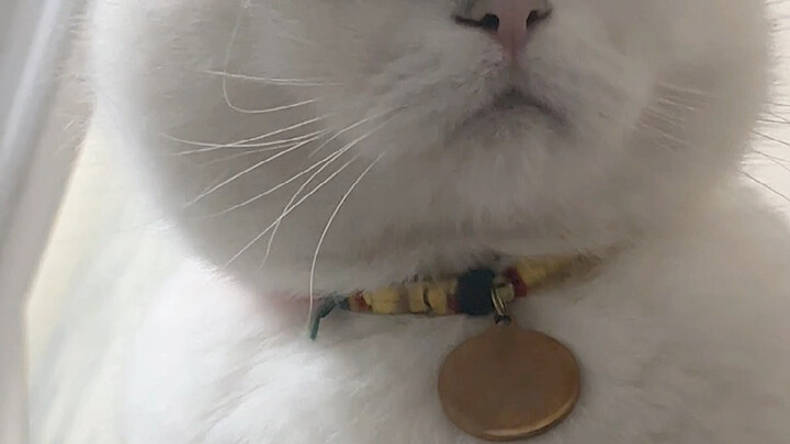 每天操老大心了