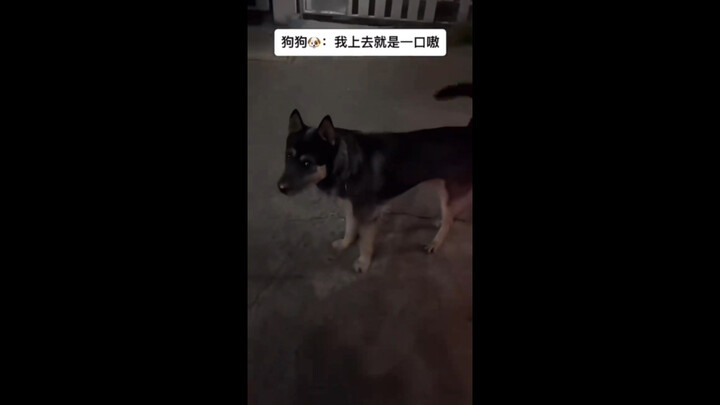 Begitu aku naik, langsung mabuk 🥴