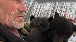 熊妈休产假，把宝宝交给饲养员照顾