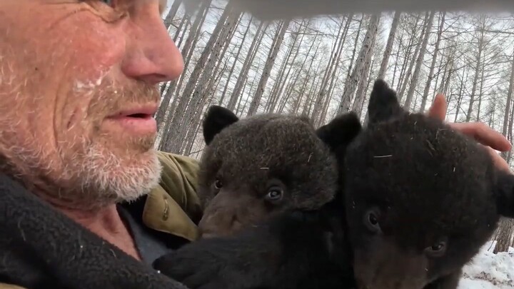 熊妈休产假，把宝宝交给饲养员照顾