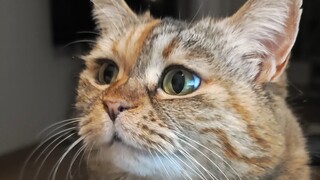 Kamu seharusnya memelukku di pangkuanmu dan menidurkanku