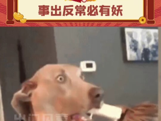 【Ra ngoài gặp may 1】Video mới nhất đã lên sóng, mong mọi người theo dõi!