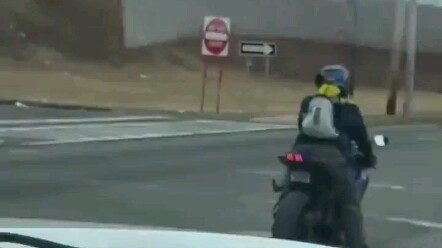 Chó con, hơi ngầu đấy