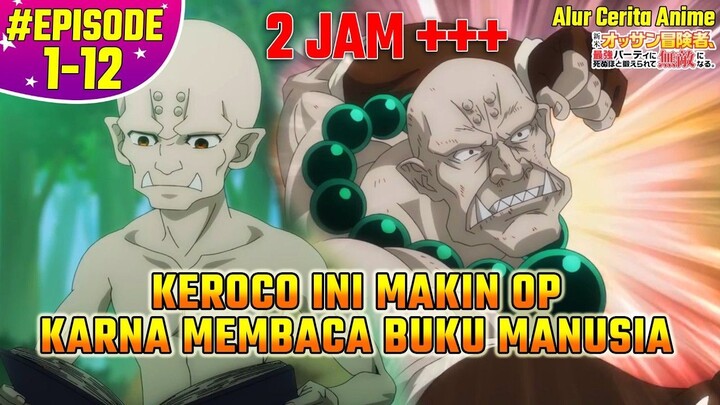 Full Alur Cerita Anime Shinmai Ossan Boukensha Saikyou Party EPISODE 1 - 12 (END)