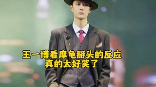 摩虾龟三家battle名场面，真的笑不活了