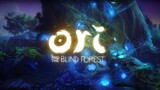 [Ori1/potongan campuran] Light of Nibel - nama saya Ori Ri dan potongan campuran hutan gelap