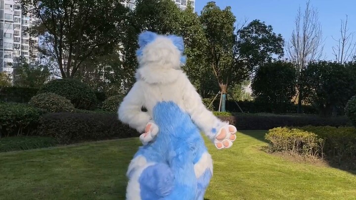 [2nd Anniversary of A-SOUL] The first dance with Jia Ran Furui version cat poisoning ~