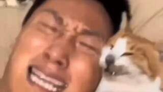 God-Level Streamer TV: My Cat Is Gone