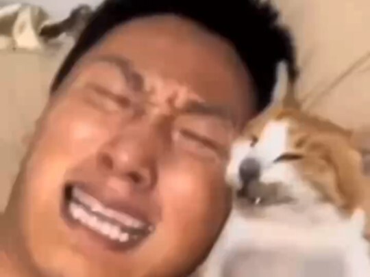 God-Level Streamer TV: My Cat Is Gone