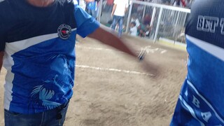 ava mendiz game farm ng bauang L.U