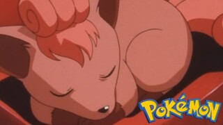 Pokémon Tập 28: Rokon! Trận Chiến Của Những Người Chăm Sóc! (Lồng Tiếng)