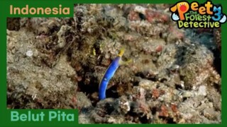 Rahasia Belut Pita - Peet The Forest Detective 3 (Bahasa Indonesia)