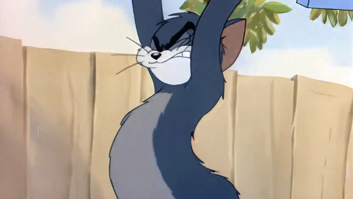 tikus nuklir kucing
