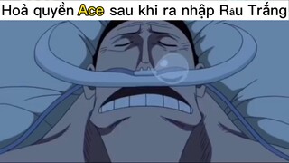 Trước khi ra nhập băng Râu Trắng là cũng bị hành te tua rồi🤣